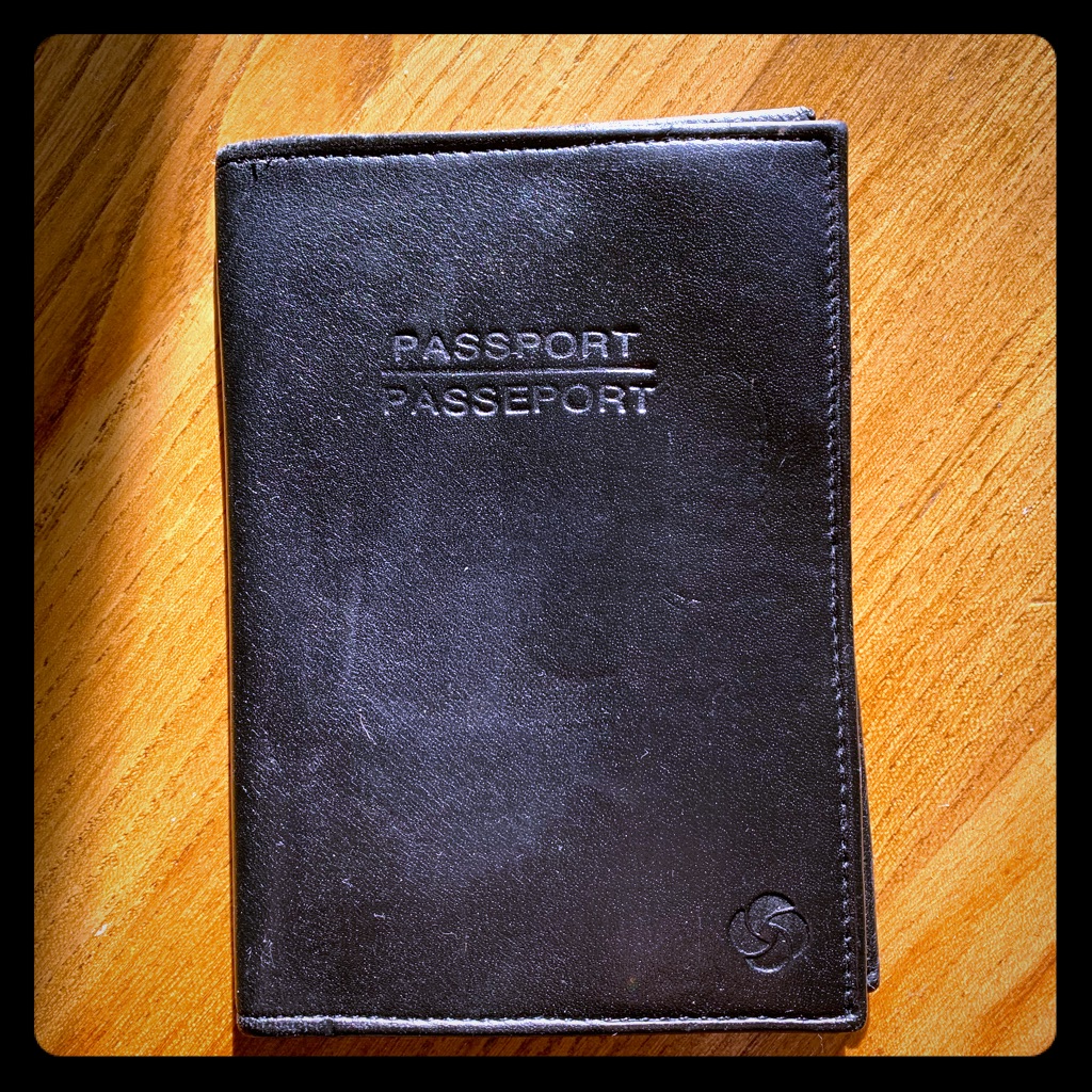 Samsonite Leather Passport Wallet